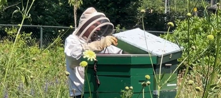 Driesprong heeft eigen Imker en Driesprong HONING.