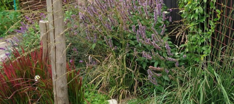 Onderhoud van uw tuin nodig?